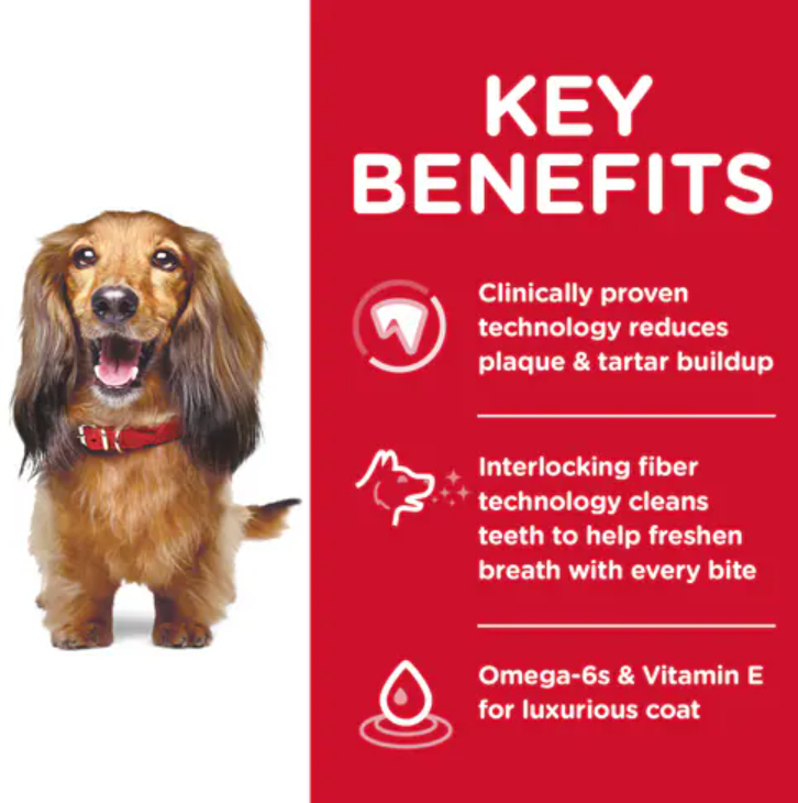 Hills Dog Food Adult Oral Care