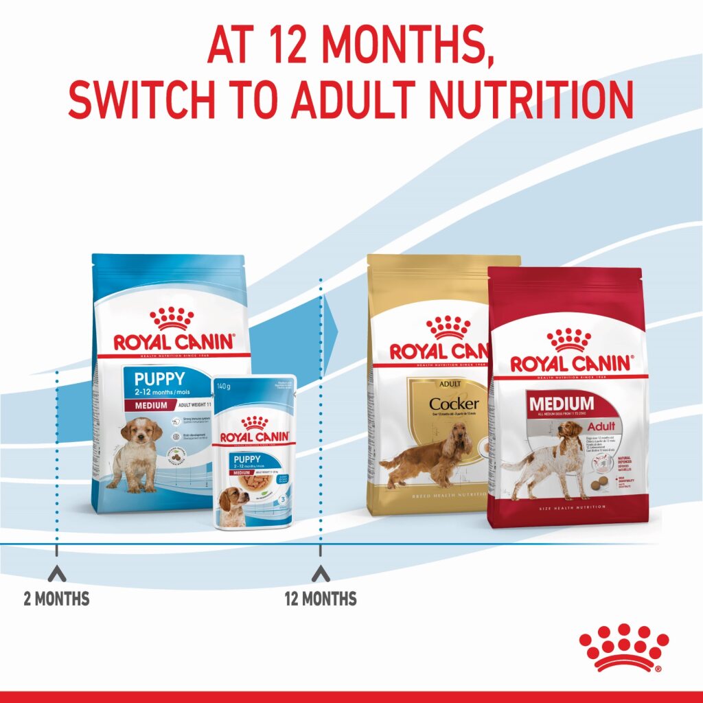 Royal Canin Dog Medium Puppy