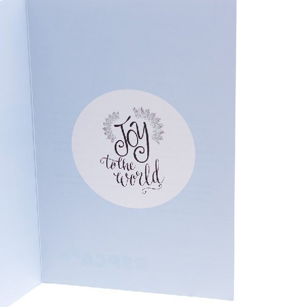 Christmas Cards Cat -Phabian 10 Cards & Envelopes
