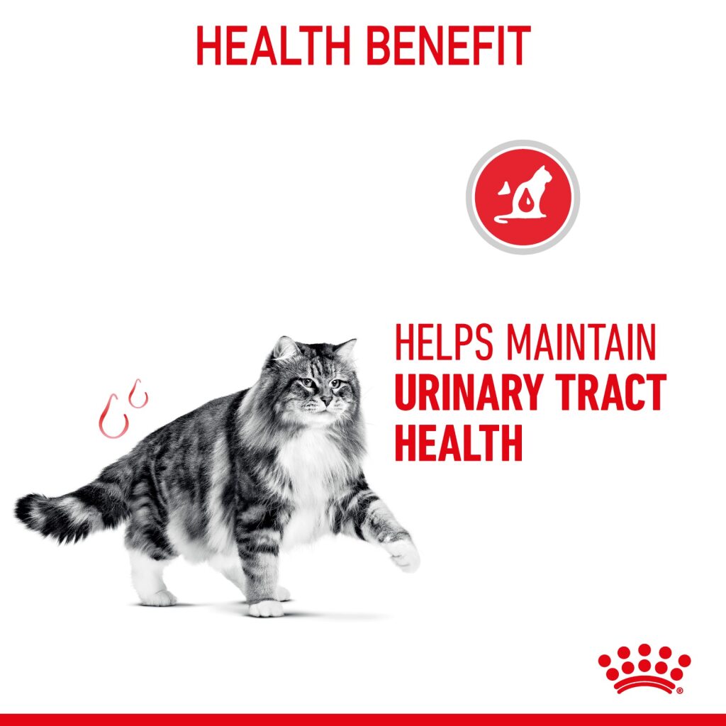 Royal Canin Feline Urinary Care Gravy 85g