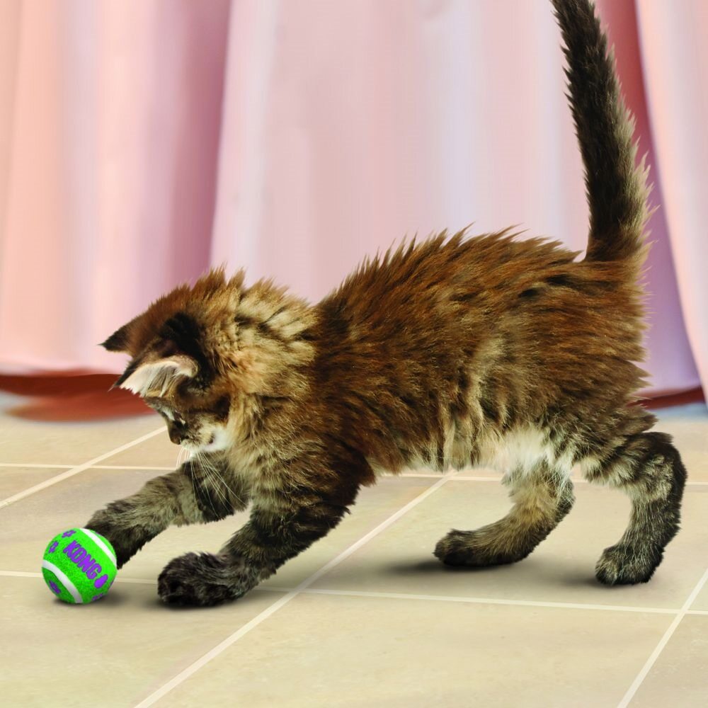 KONG Tennis Ball with Bell Cat Toy