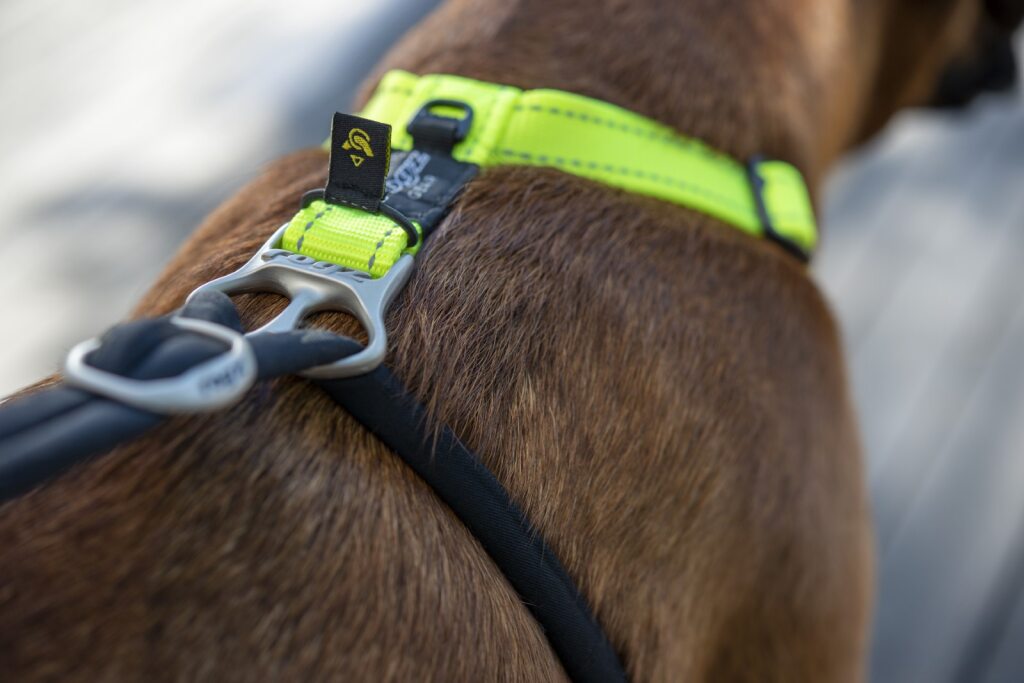 Rogz Control Stop Pull Harness Pink MEDIUM