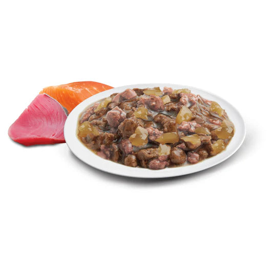 Advance Cat Healthy Ageing 8+ Ocean Fish in Jelly 85g