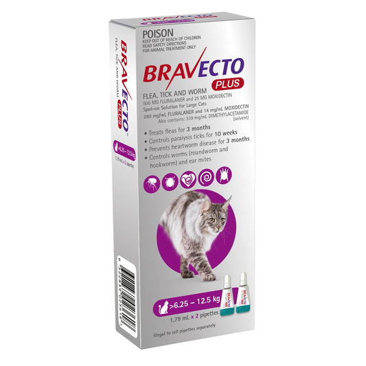 Bravecto Plus Cat Purple 6.25 to 12.5kg 2 Pack