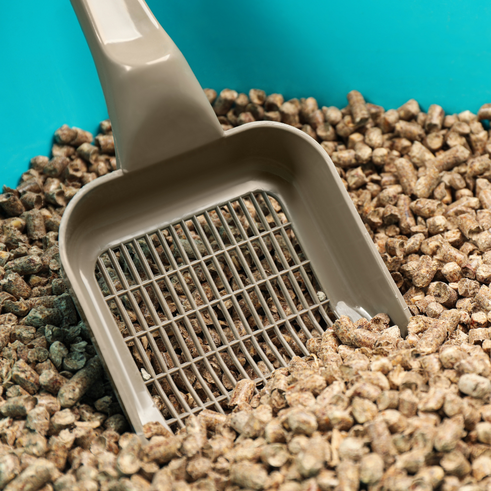 Elite Cat Litter 15kg Australian Pine Wood Pellets – RSPCA World for Pets