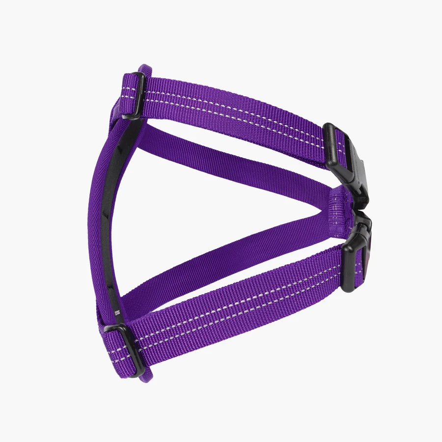 EzyDog Chest Plate Harness Purple Large