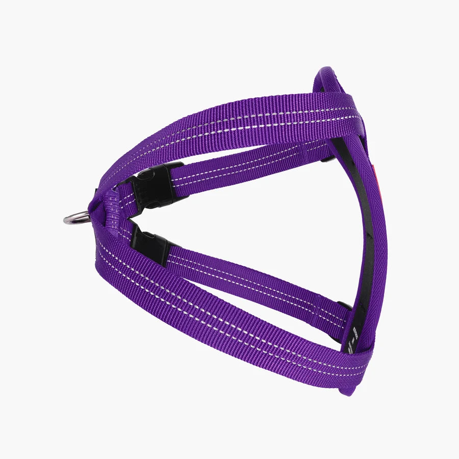 EzyDog Chest Plate Harness Purple Large