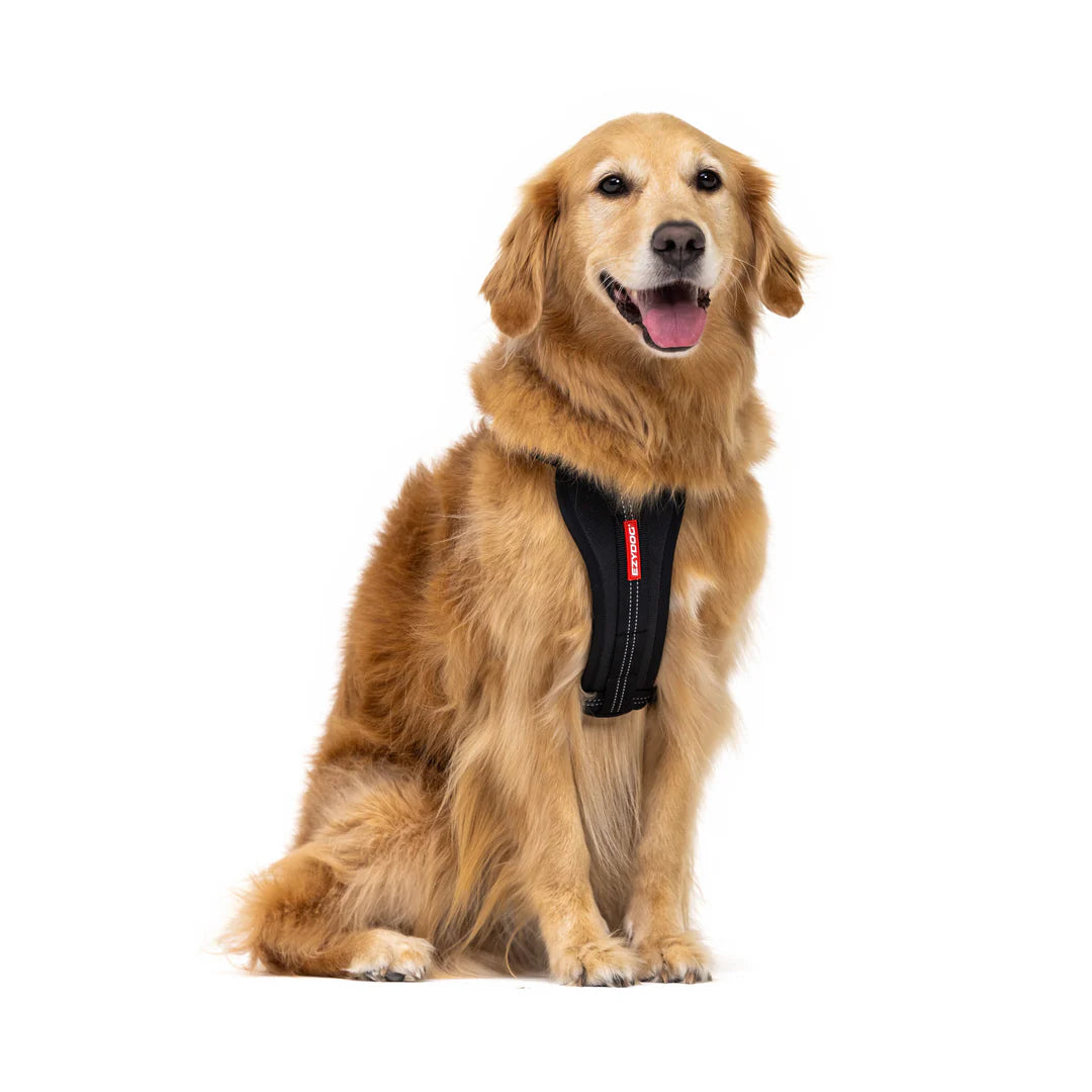 EzyDog Chest Plate Harness Black