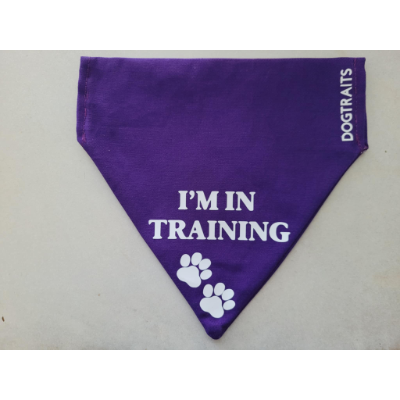 Dog Traits Bandana Purple 'I'm in Training'