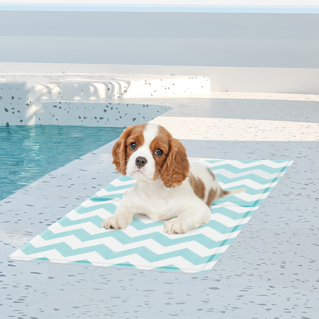 Pawz Pet Cooling Mat S Blue-1973193491555160070