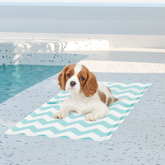 Pawz Pet Cooling Mat S Blue-1973193491555160070