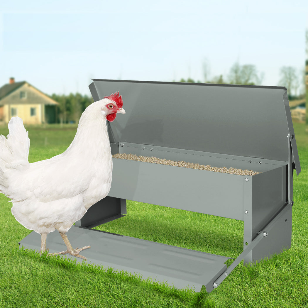 PaWz 5KG Auto Automatic Chicken Feeder-1973193836343726086