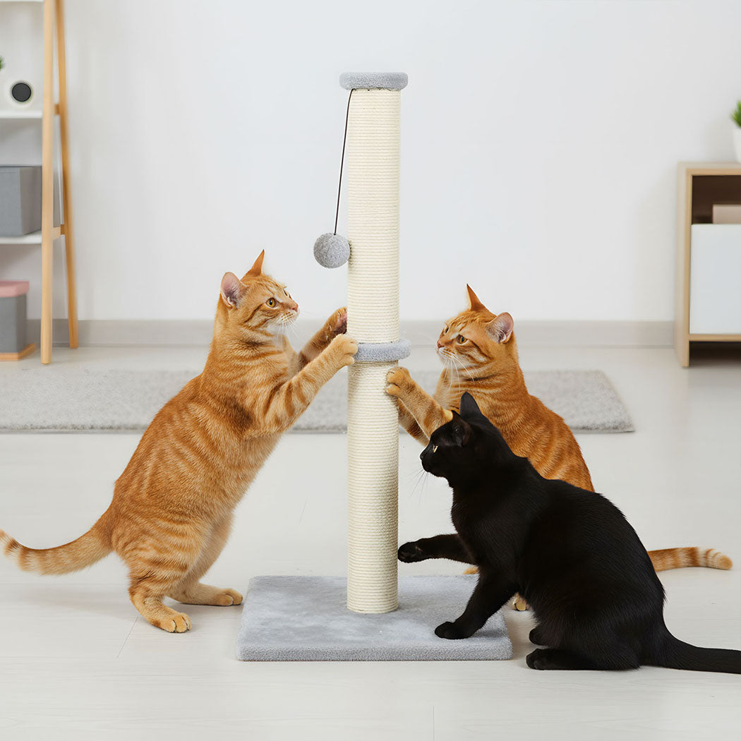 Pawz Cat Scratcher Scratching Post-1996005541633200134