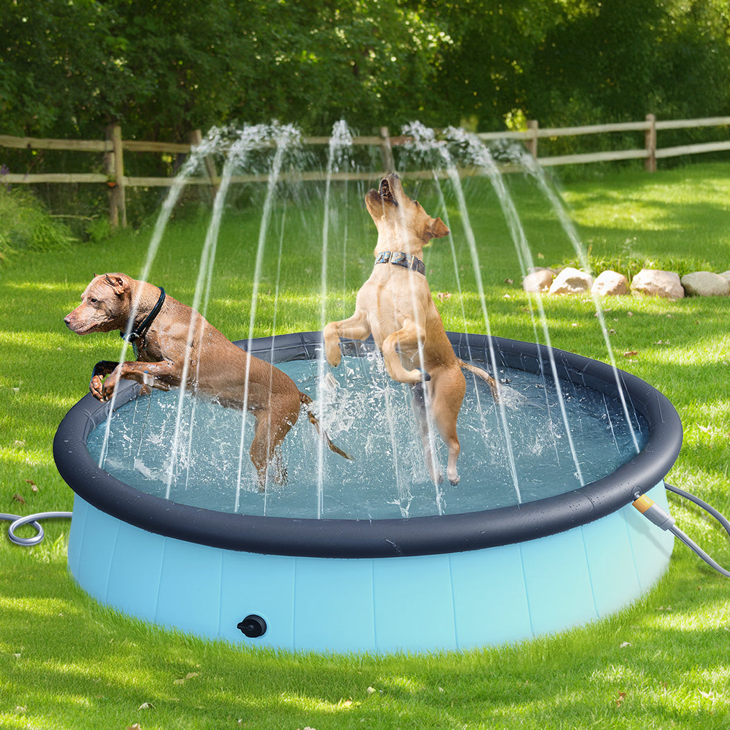 Pawz Folding Dog Swimming Pool-1973193486098370566