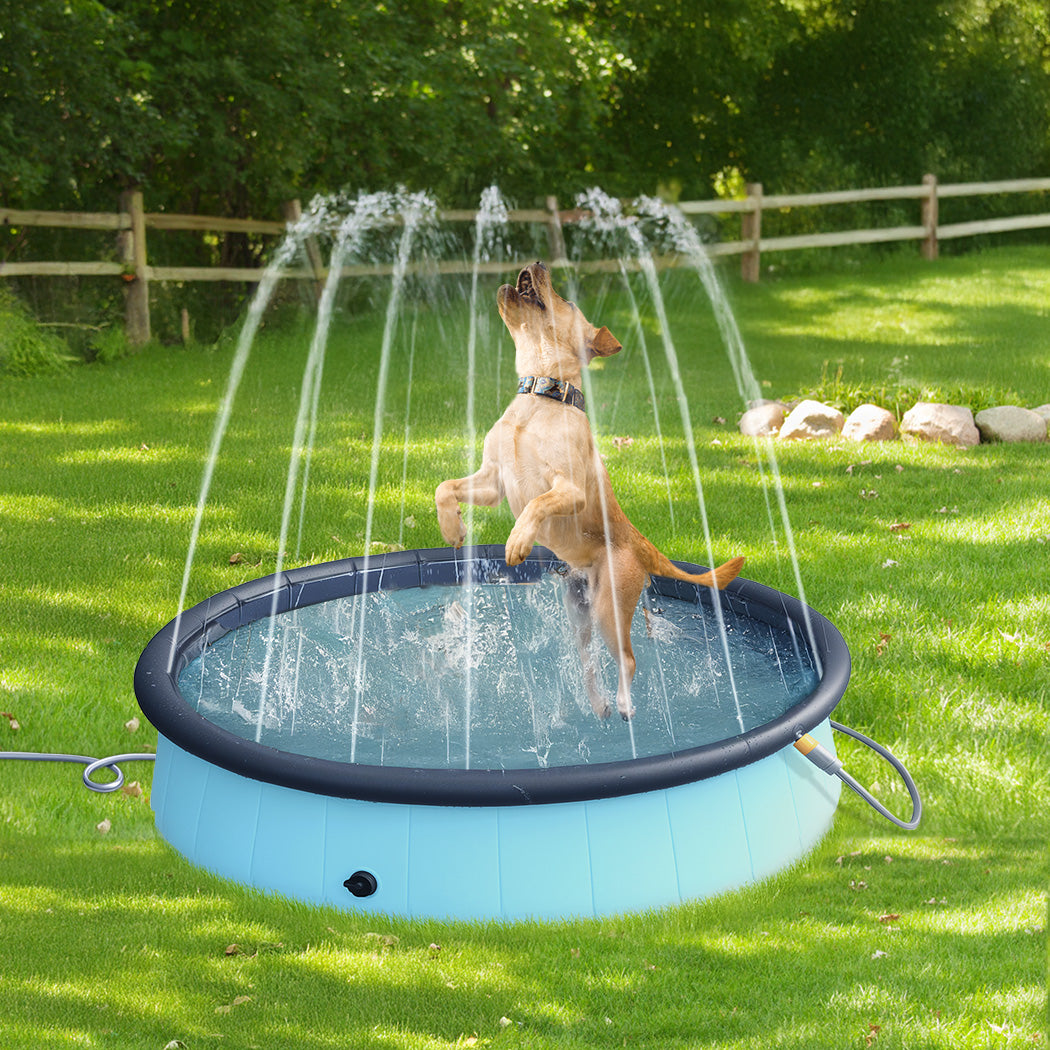 Pawz Folding Dog Swimming Pool-1973193485712494598