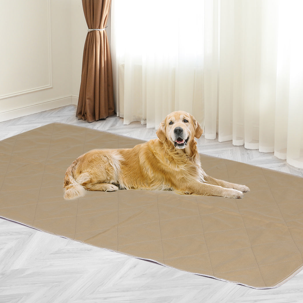 PaWz 2 Pcs 120x180 cm Reusable Waterproof KING-1973193826482917382