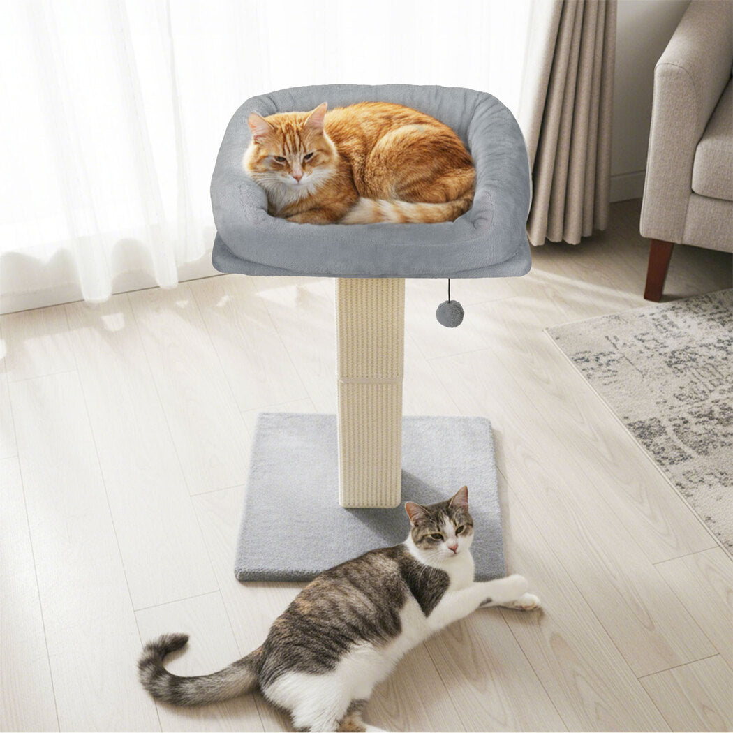 Pawz Cat Scratcher Big Perch Bed-1996005542006493190