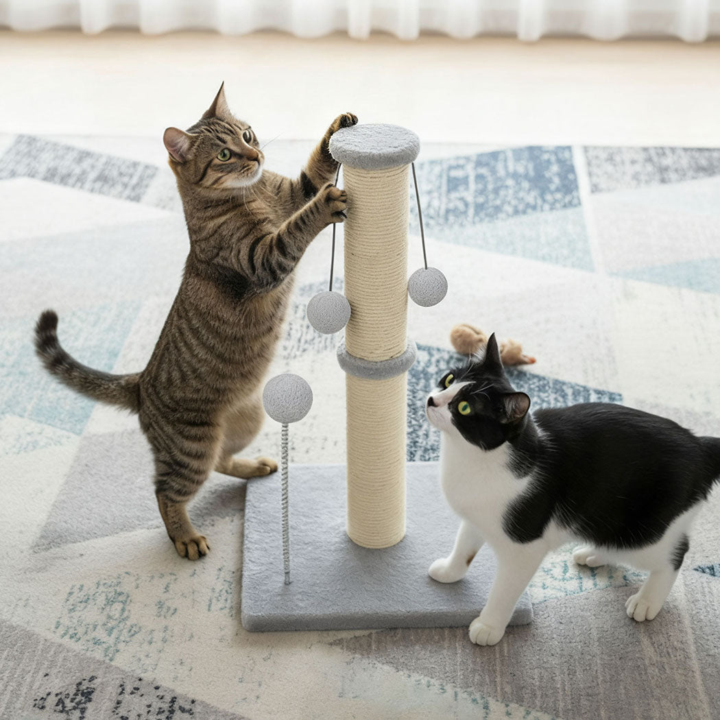 Pawz Cat Scratcher Tower Scratching Post-1996005539607351302