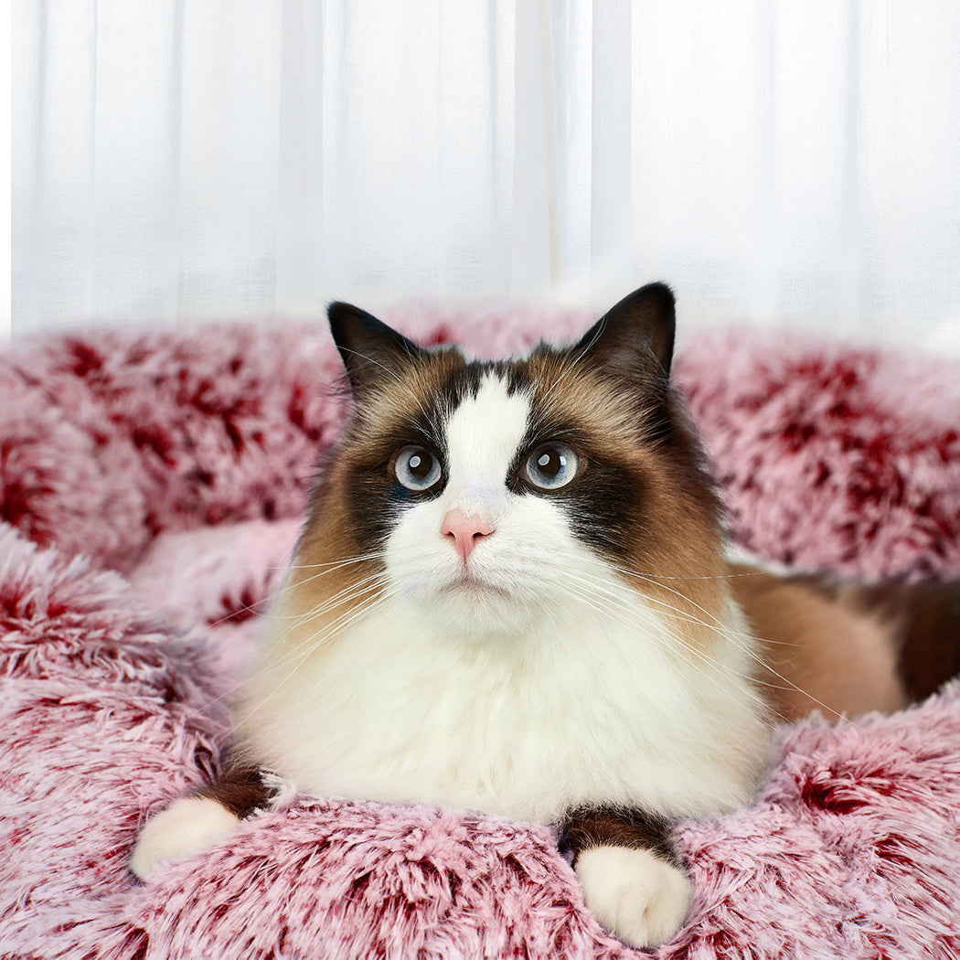 PaWz Pet Bed Memory Foam Dog Donut Pink X-Large-1973193687819227142