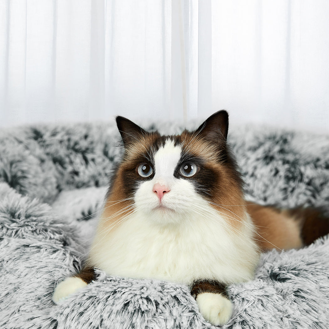 PaWz Pet Bed Memory Foam Dog Donut Charcoal X-Large-1973193687605317638