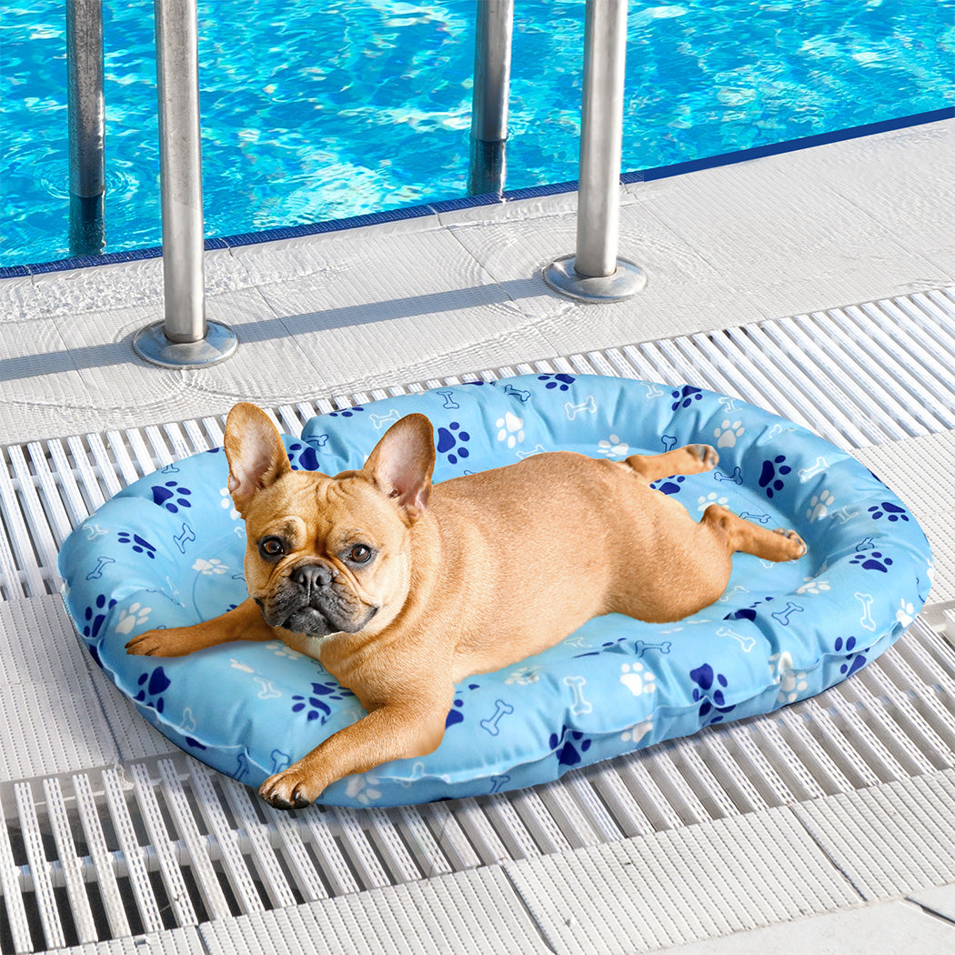 Pawz Pet Cooling Mat S Blue-1973193491743903750