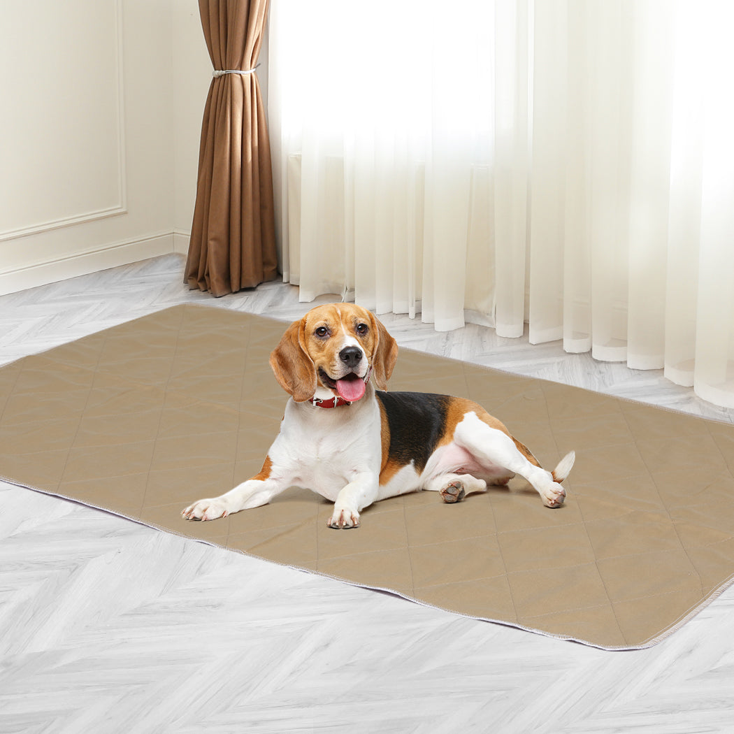 PaWz 2 Pcs 90x90 cm Reusable Waterproof XX-Large-1973193826868793350