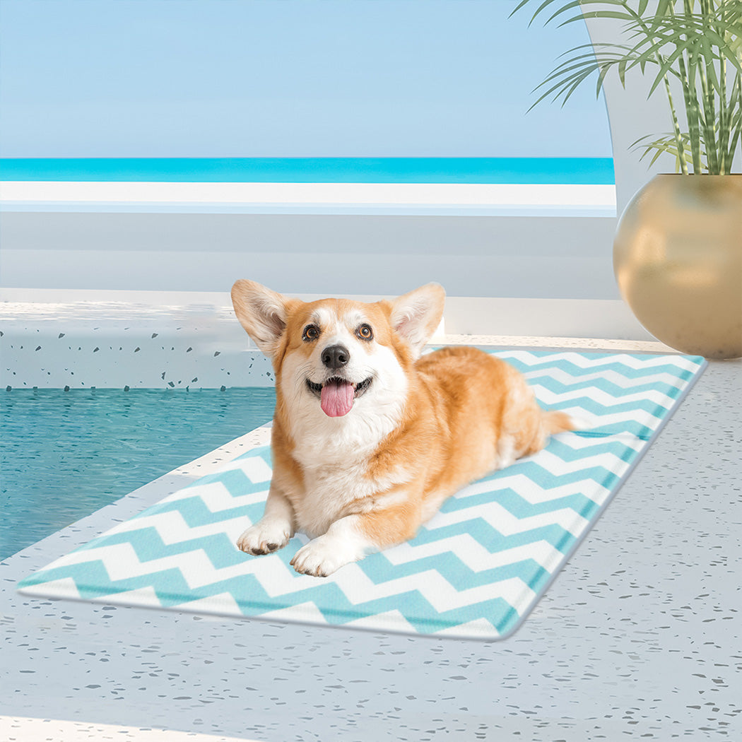 Pawz Pet Cooling Mat M Blue-1973193490791796742