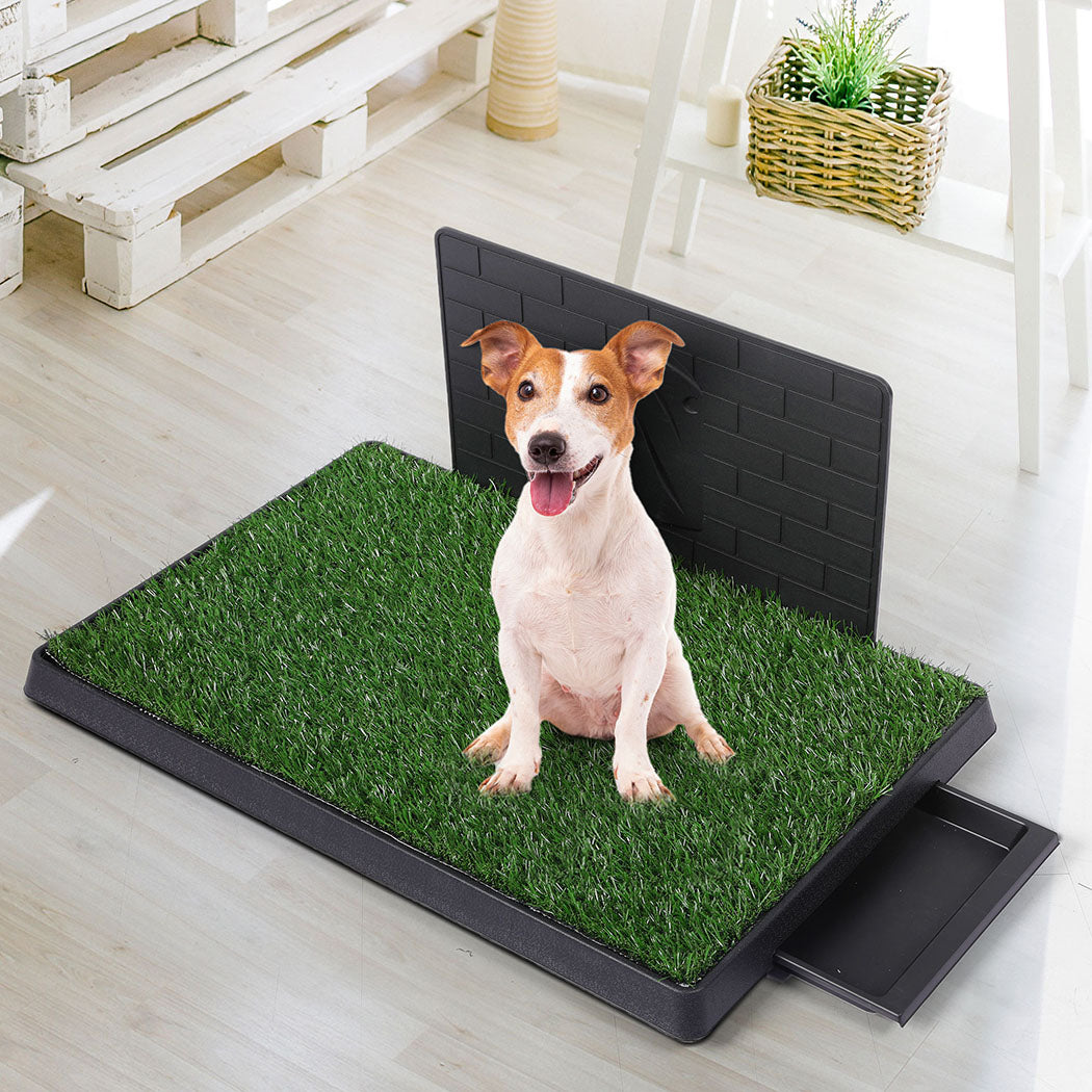 PaWz Indoor Dog Pet Grass Potty Training L-1973193644177494022