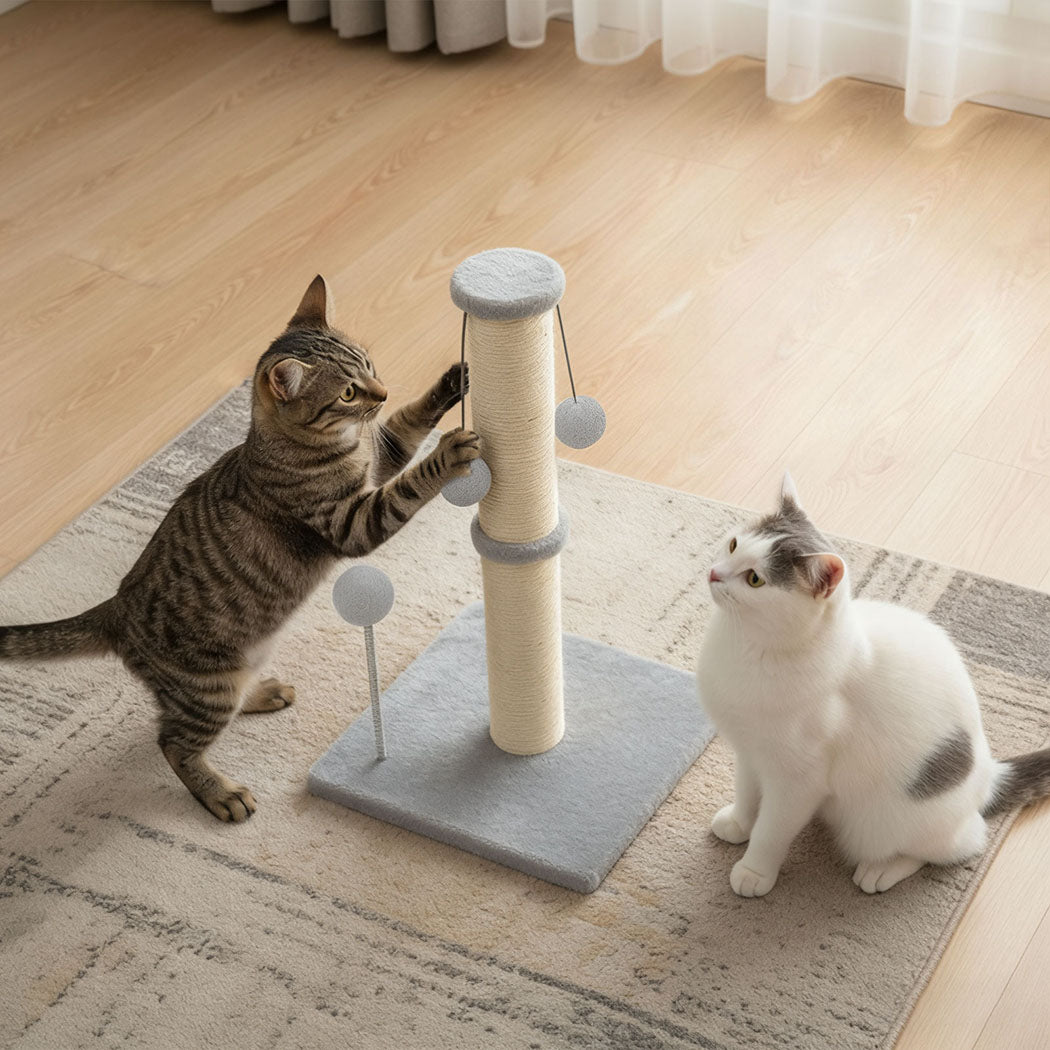 Pawz Cat Scratcher Tower Scratching Post-1996005539607351303