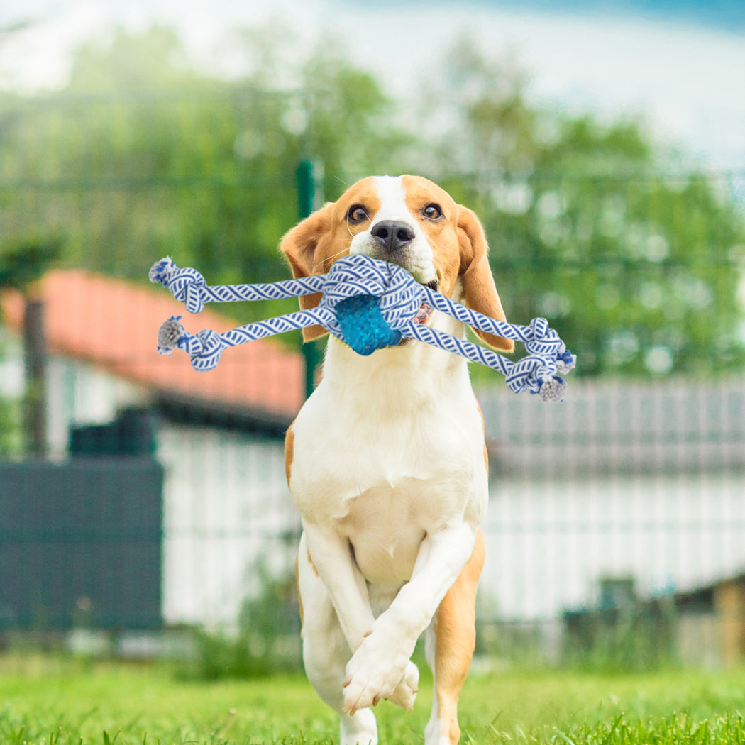 PaWz Dog Chew Toys Squeaky Puppy Pet-1973194202787483655