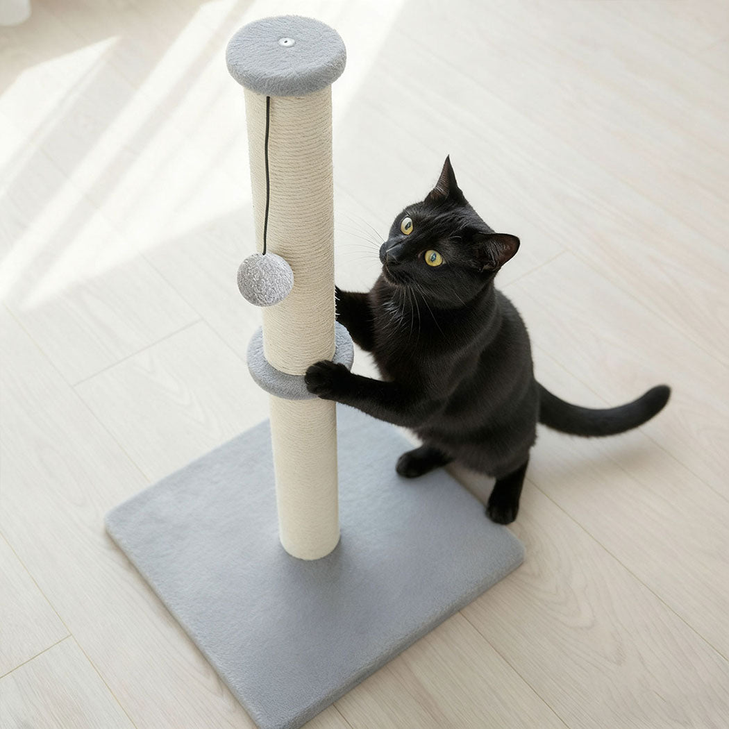 Pawz Cat Scratcher Scratching Post-1996005541633200135