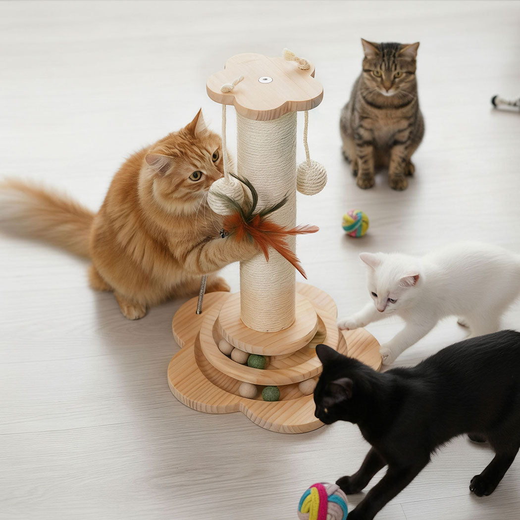 Pawz Cat Scratcher Wooden Scratching Post-1996005539410219015