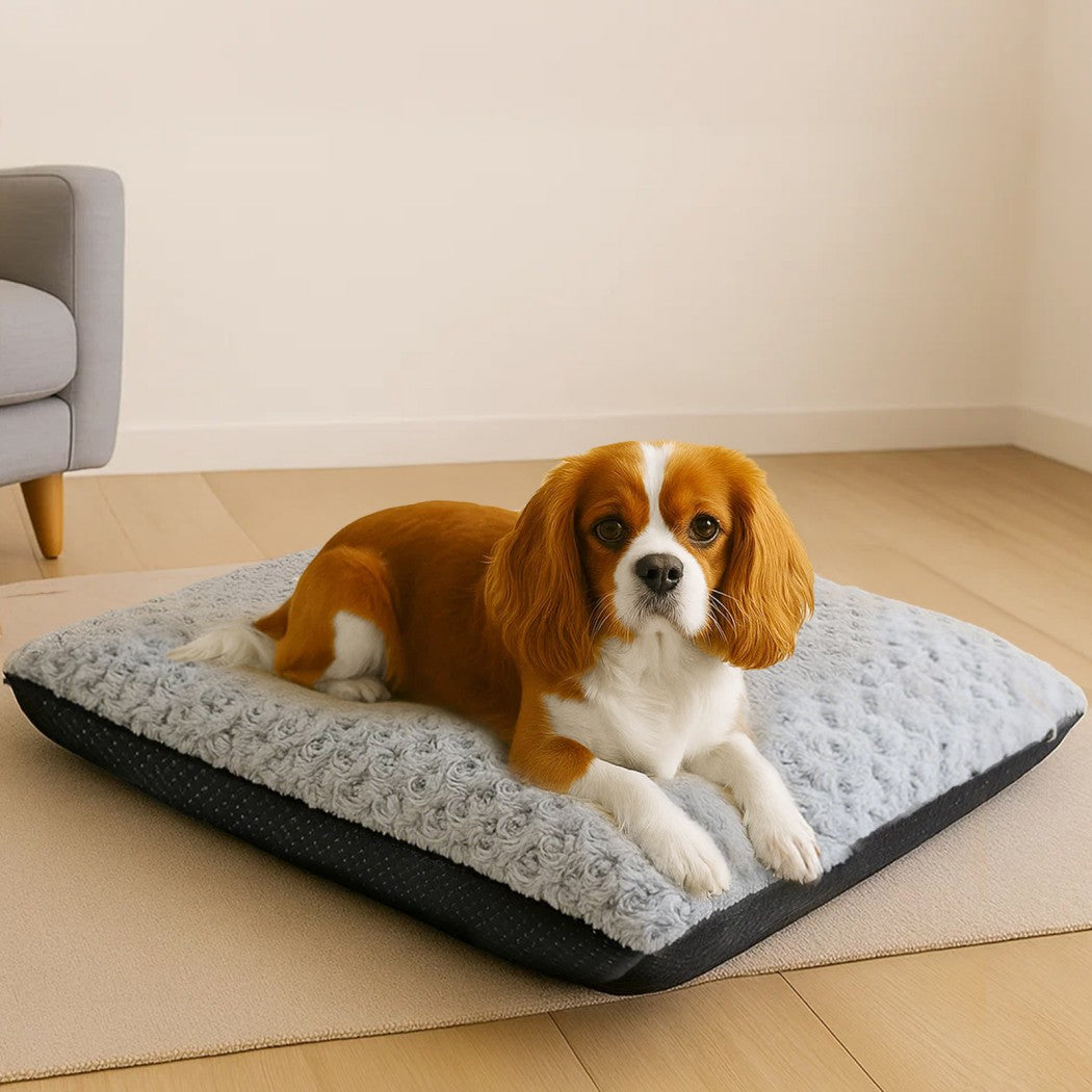 Pawz Pet Bed Dog Soft Warm Plush Mattress-1996005593957142535