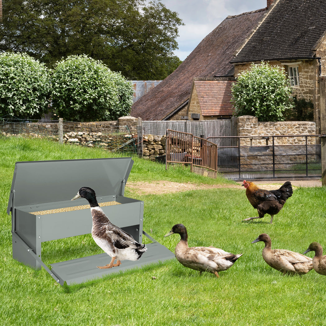 PaWz 5KG Auto Automatic Chicken Feeder-1973193836343726087