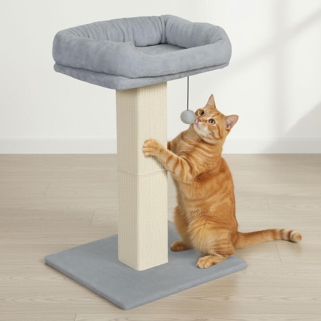 Pawz Cat Scratcher Big Perch Bed-1996005542006493191