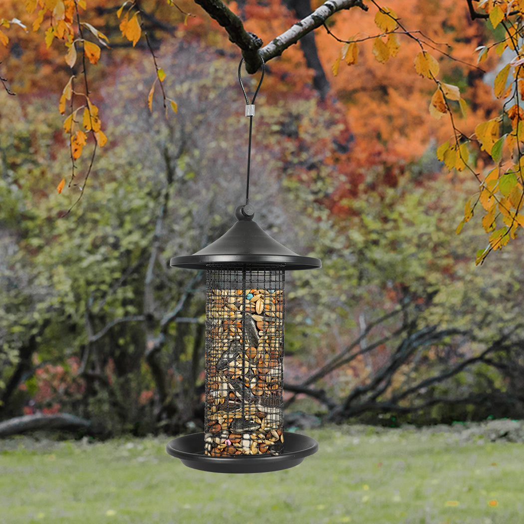 PaWz 3x Bird Feeder Hanging Wild Seed-1973193455240876039