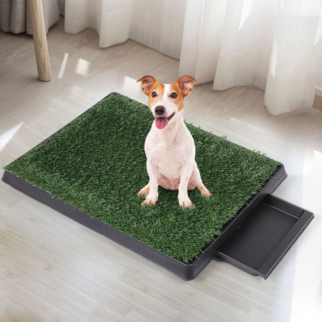 PaWz Indoor Dog Pet Grass Potty Training-1973193644366237703