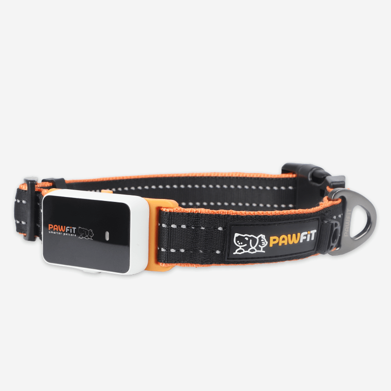 Pawfit 3 Collar Xlarge-1869883042563231744