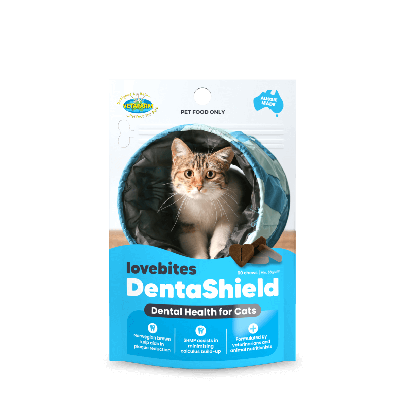 Vetafarm LoveBites Cat DentaShield Chews 60's