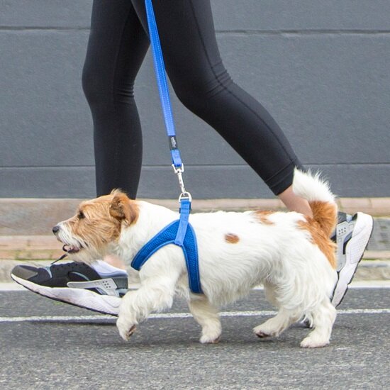 Rogz Fast FiT Harness Black  SMALL