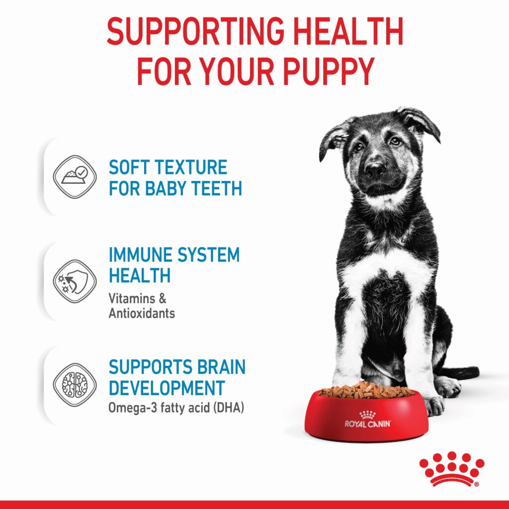Royal Canin Maxi Puppy Wet Food 140g