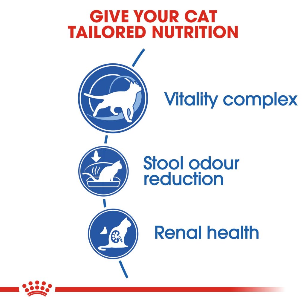 Royal Canin Feline Indoor 7+