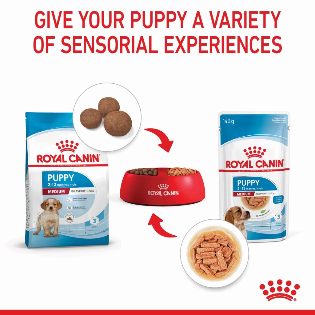 Royal Canin Medium Puppy Wet Food 140g