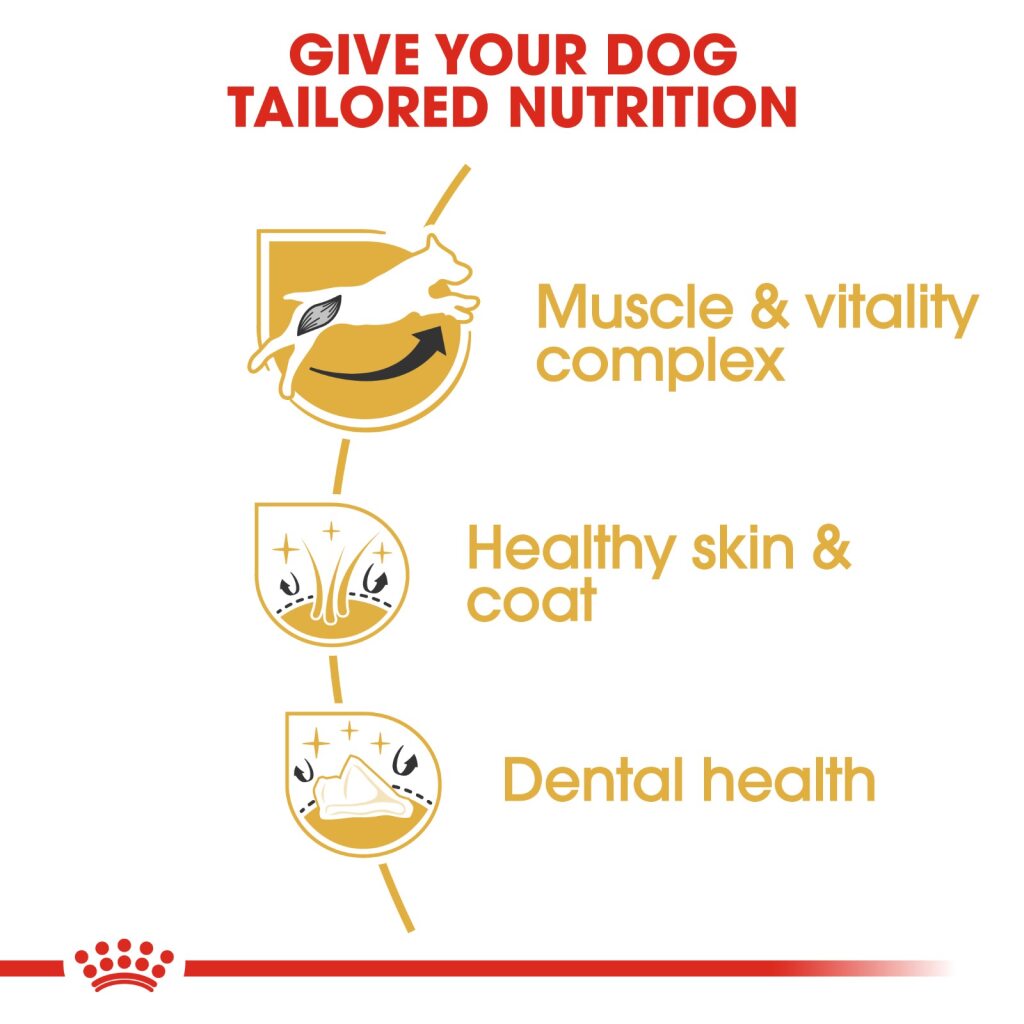 Royal Canin Dog Jack Russell Terrier 3kg