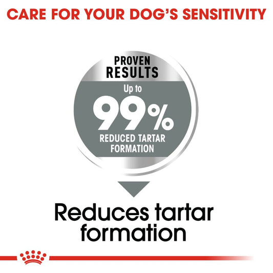 Royal Canin Dog Medium Dental Care