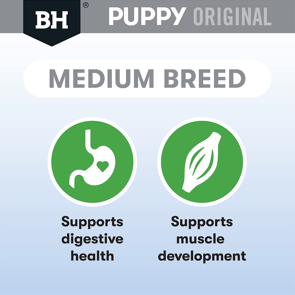 Black Hawk Puppy Med Breed Chicken & Rice