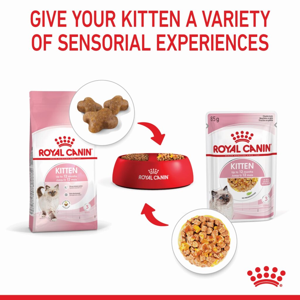 Royal Canin Kitten Jelly 85g