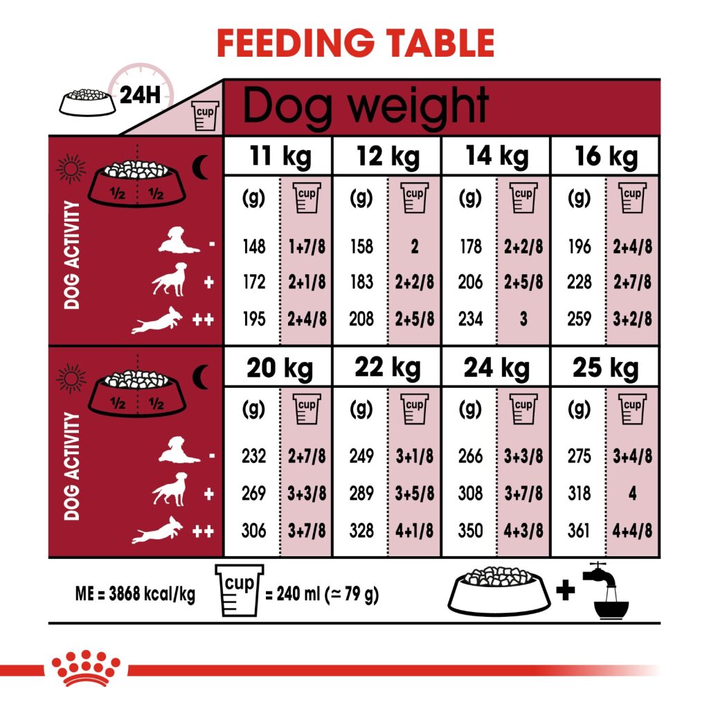 Royal Canin Dog Medium Ageing 10+ - 15kg