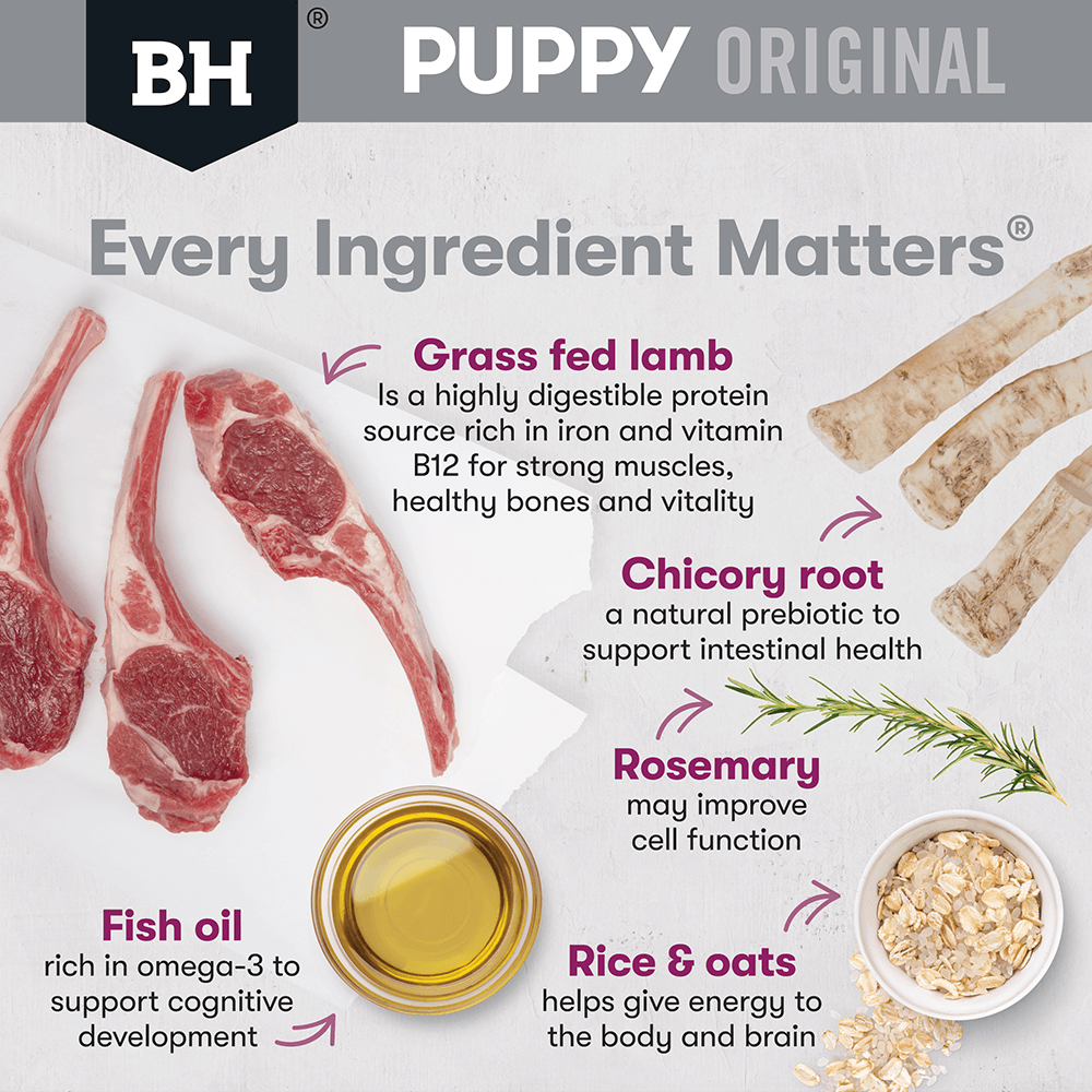 Black Hawk Puppy Sml Breed Lamb & Rice 3 kg
