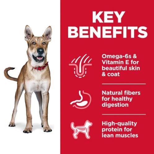 Hills Dog Food, Canine Adult Advanced Fitness 3Kg